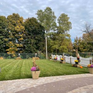 New Backyard at the Broadway Bubble